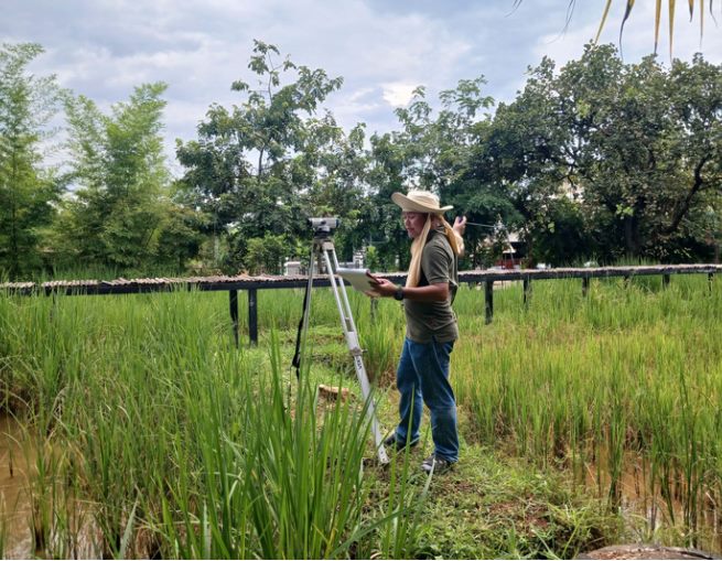 งานเก็บข้อมูลภาคสนามเพื่อออกแบบ
